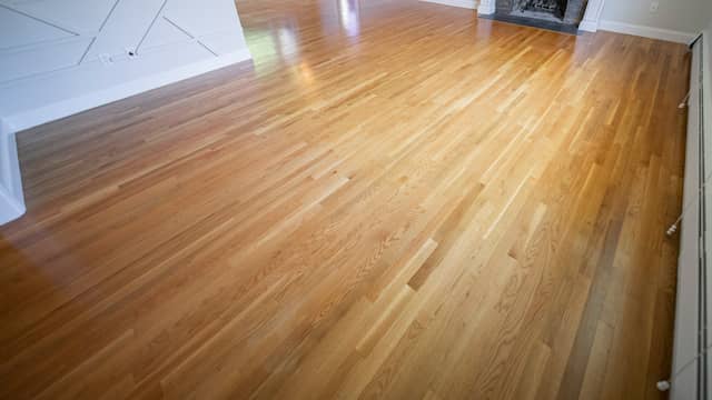 Light oak floor with an even, still-reflective finish and no damage in the wood, the case for a screen and recoat.